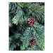 Limpol Vianočný stromček so železným stojanom borovica Pola 220 cm