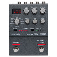 Boss RV-200