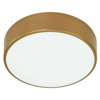 OVO ceiling light 5xE27, 5x24W, gold steel, matt glass diffuser, IP20, O 600