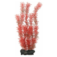 Dekorácia Tetra Rastlina Tetra Foxtail Red L 30cm