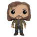 Funko POP! Harry Potter: Sirius Black