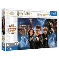 Puzzle 160 XL Super Shape - Kúzelný svet Harryho Pottera / Warner Harry Potter and the Hal