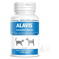 Alavis Celadrin pre psy a mačky 60cps 500mg