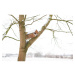 Drevená búdka pre sovu – Esschert Design