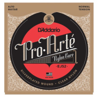 D'Addario EJ52