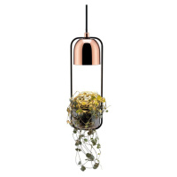Paulmann závesná lampa Fanja s kvetináčom