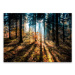 Obraz Styler Glasspik Autumn Sunset, 70 × 100 cm