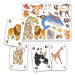 Hľadaj a nájdi – Zvieratá sveta - kartová hra