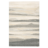 Béžovo-sivý vlnený koberec 200x300 cm Elidu – Agnella
