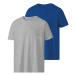PARKSIDE® Pánske tričko, 2 kusy (M (48/50), modrá/sivá)