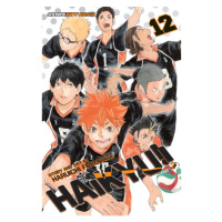 Viz Media Haikyu!! 12