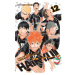 Viz Media Haikyu!! 12