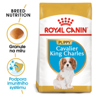 ROYAL CANIN  KAVALÍR JUNIOR - 1,5kg