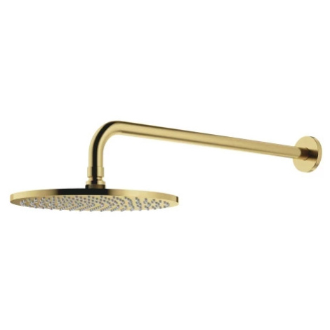 OMNIRES - Sprchová hlavica SLIMLINE s ramenom, kartáčovaná mosadz WGSET1BSB