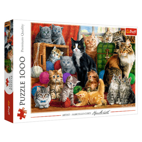 Trefl Puzzle 1000 - Stretnutie mačiek