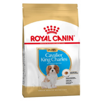 Royal Canin BHN CAVALIER KING CHARLES PUPPY granule pre šteňatá kavalier španiela 1,5kg