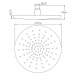 Mosadzná hlavová sprcha v lesklo striebornej farbe ø 22,5 cm – Sapho