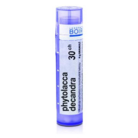 BOIRON Phytolacca decandra CH30 4 g