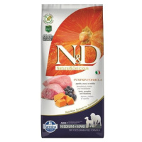 ND Dog Pumpkin Adult M/M 12kg jahna,cucoriedka