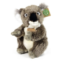 Plyšová koala 22 cm ECO-FRIENDLY