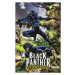 Marvel Black Panther: Panther's Quest