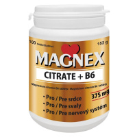 VITABALANS OY Magnex Citrate + B6 100 tabliet