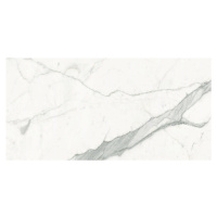 Dlažba Graniti Fiandre Marble Lab Calacatta Stat. 120X60 cm AL192X864