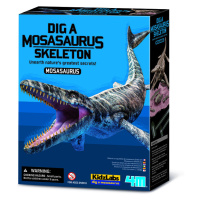 Vykopávka - Mosasaurus - skladacia kostra