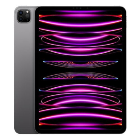 Apple iPad Pro 11" 2 TB Cellular vesmírne šedý (2022)