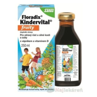 SALUS Floradix Kindervital fruity, bylinný sirup 250 ml