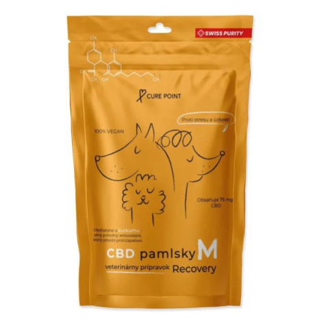 Pamlsok CBD Recovery M 100g