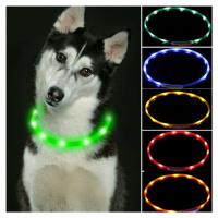 Reedog Easy Light USB nabíjací svietiaci obojok pre psy a mačky - zelená