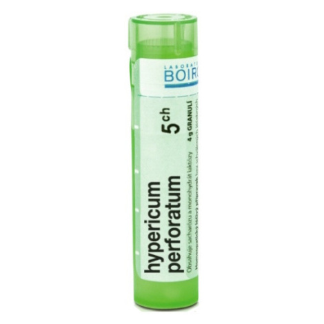 BOIRON Hypericum Perforatum CH5 4 g