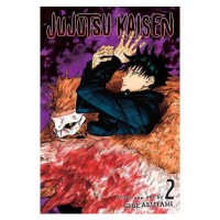 Viz Media Jujutsu Kaisen 2