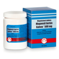 MAGNESII Lactas 500 mg 100 tabliet