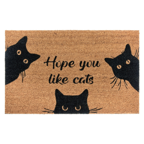 Rohožka Hope you like cats 105667 - na ven i na doma - 45x75 cm Hanse Home Collection koberce