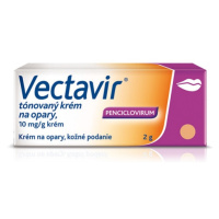 VECTAVIR Tónovaný krém na opary 2 g