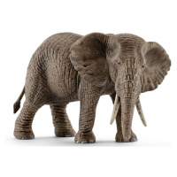 Schleich 14761 Slon africký samica