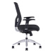 Ergonomická kancelárska stolička OfficePro Halia Farba: sivá, Opierka hlavy: s opierkou