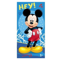 Osuška mickey 043