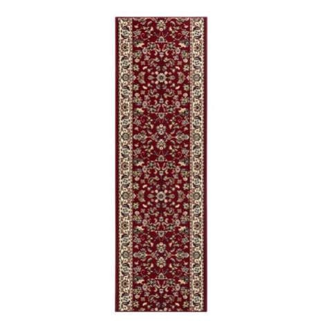 Běhoun Basic 102487, 80x300, červená, chodba / předsíň, Hanse Home