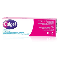 Calgel gel.dnt.1 x 10 g