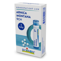 ARNICA MONTANA CH9 granule 3x4 g