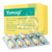 Yomogi cps dur 250 mg 10 ks