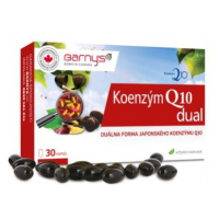 Barnys Koenzým Q10 dual 60 mg 30 cps
