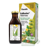 SALUS Floradix gallexier 250 ml