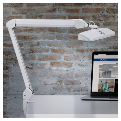 MAULintro LED pracovné svetlo, biele, 52 cm, podstavec so svorkou