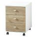 426459 Germania Rolling Filing Cabinet "Altino" 40x48,9x56,9 cm Navarra-oak and White