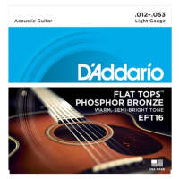 D'Addario EFT16