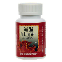 TCM Odvalenie kameňov z cesty (Gui Zhi Fu Ling Wan 054) 200 guličiek